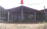 บ้านเดี่ยวหลุดจำนอง ธ.ธนาคารกรุงไทย เพชรบูรณ์ เมืองเพชรบูรณ์ บ้านโคก