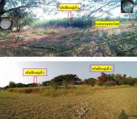 ที่ดินเปล่าหลุดจำนอง ธ.ธนาคารกรุงไทย ราชบุรี โพธาราม ดอนกระเบื้อง