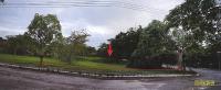 ที่ดินเปล่าหลุดจำนอง ธ.ธนาคารกรุงไทย เพชรบุรี เมืองเพชรบุรี หนองขนาน