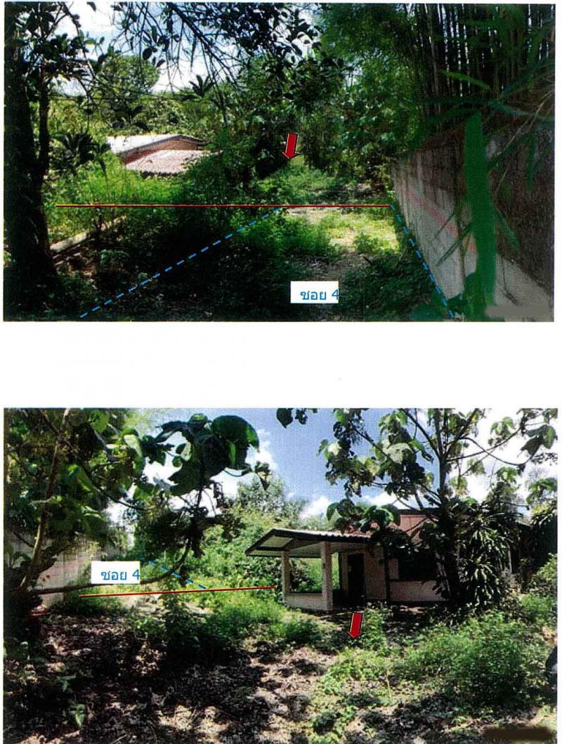 บ้านเดี่ยวหลุดจำนอง ธ.ธนาคารกรุงไทย เชียงใหม่ ฝาง เวียง