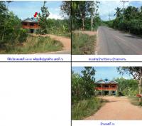 ที่ดินพร้อมสิ่งปลูกสร้างหลุดจำนอง ธ.ธนาคารกรุงไทย สงขลา สะเดา ปริก