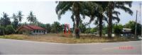 ที่ดินเปล่าหลุดจำนอง ธ.ธนาคารกรุงไทย กระบี่ เหนือคลอง ตลิ่งชัน