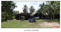 ที่ดินพร้อมสิ่งปลูกสร้างหลุดจำนอง ธ.ธนาคารกรุงไทย สงขลา สิงหนคร ม่วงงาม