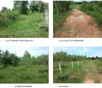 ที่ดินเปล่าหลุดจำนอง ธ.ธนาคารกรุงไทย สกลนคร เมืองสกลนคร ขมิ้น