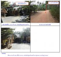 ที่ดินพร้อมสิ่งปลูกสร้างหลุดจำนอง ธ.ธนาคารกรุงไทย สงขลา หาดใหญ่ ทุ่งตำเสา