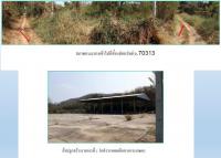 ที่ดินพร้อมสิ่งปลูกสร้างหลุดจำนอง ธ.ธนาคารกรุงไทย เลย เมืองเลย เมือง