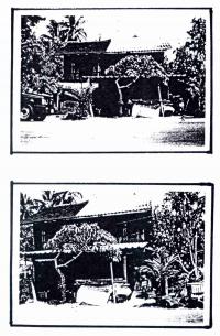 ที่ดินพร้อมสิ่งปลูกสร้างหลุดจำนอง ธ.ธนาคารกรุงไทย นราธิวาส ระแงะ เฉลิม