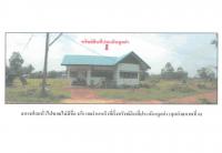 ที่ดินพร้อมสิ่งปลูกสร้างหลุดจำนอง ธ.ธนาคารออมสิน อำนาจเจริญ เมืองอำนาจเจริญ บุ่ง