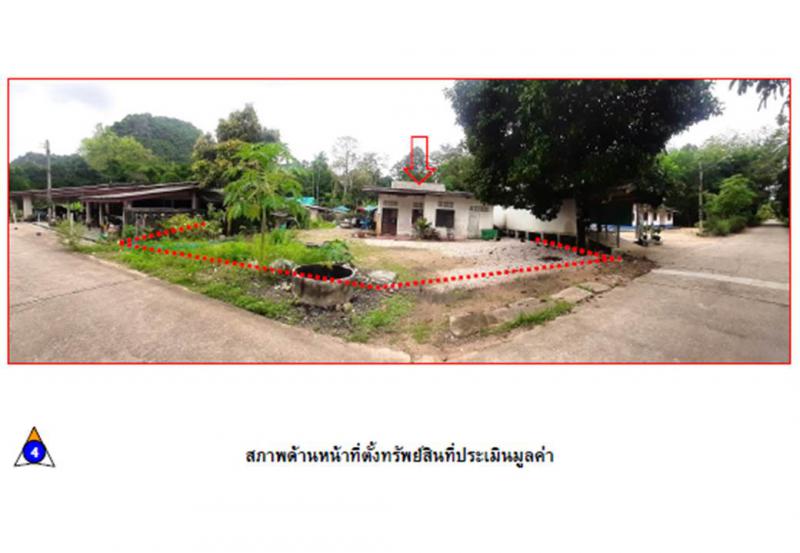 ที่ดินพร้อมสิ่งปลูกสร้างหลุดจำนอง ธ.ธนาคารออมสิน ชุมพร หลังสวน ท่ามะพลา