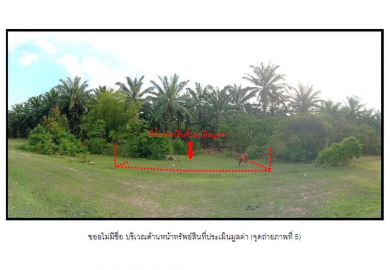 ที่ดินหลุดจำนอง ธ.ธนาคารออมสิน กระบี่ คลองท่อม คลองพน