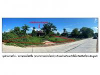 ที่ดินพร้อมสิ่งปลูกสร้างหลุดจำนอง ธ.ธนาคารออมสิน กำแพงเพชร ขาณุวรลักษบุรี ป่าพุทรา