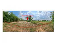 ที่ดินหลุดจำนอง ธ.ธนาคารออมสิน มุกดาหาร ดอนตาล ดอนตาล