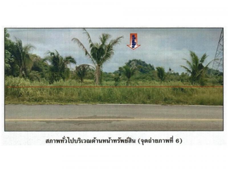 ที่ดินหลุดจำนอง ธ.ธนาคารออมสิน นครศรีธรรมราช ทุ่งสง กะปาง