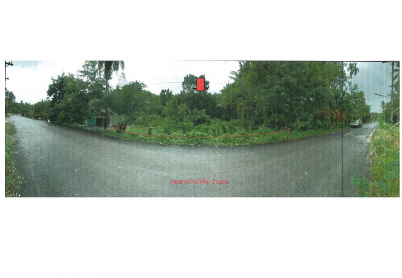 ที่ดินหลุดจำนอง ธ.ธนาคารออมสิน นครศรีธรรมราช บางขัน วังหิน