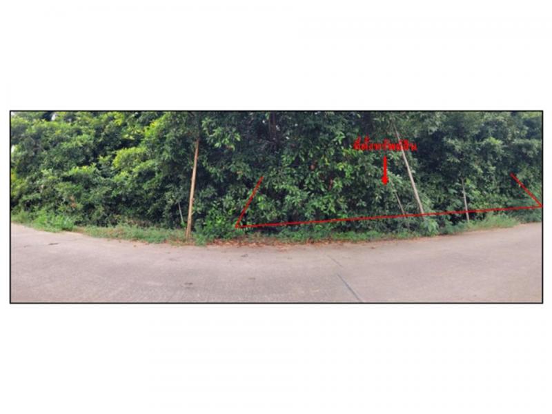 ที่ดินหลุดจำนอง ธ.ธนาคารออมสิน นครสวรรค์ โกรกพระ บางมะฝ่อ