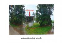 ที่ดินพร้อมสิ่งปลูกสร้างหลุดจำนอง ธ.ธนาคารออมสิน เพชรบูรณ์ บึงสามพัน ซับสมอทอด