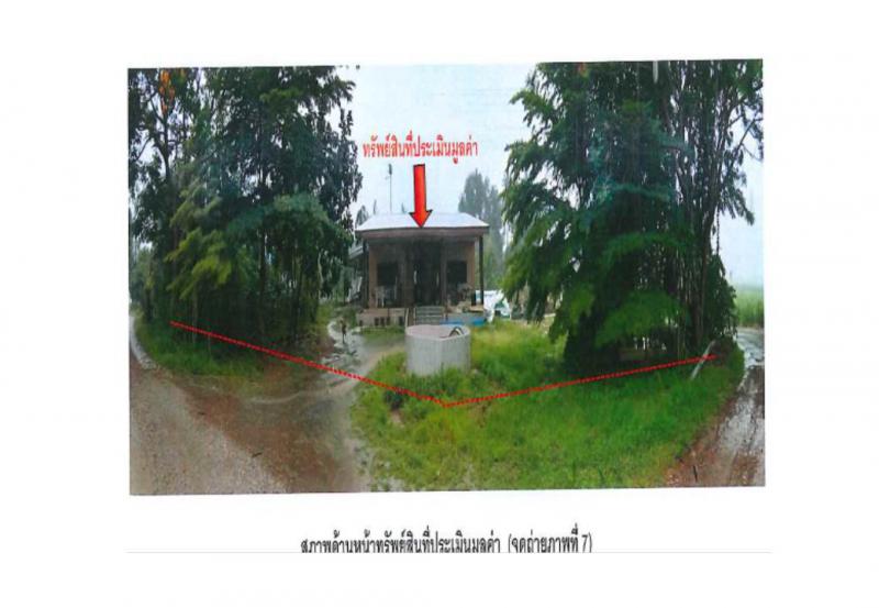 ที่ดินพร้อมสิ่งปลูกสร้างหลุดจำนอง ธ.ธนาคารออมสิน เพชรบูรณ์ บึงสามพัน ซับสมอทอด