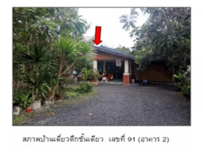 ที่ดินพร้อมสิ่งปลูกสร้างหลุดจำนอง ธ.ธนาคารออมสิน พัทลุง เมืองพัทลุง โคกชะงาย