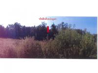 ที่ดินหลุดจำนอง ธ.ธนาคารออมสิน พะเยา ภูซาง -