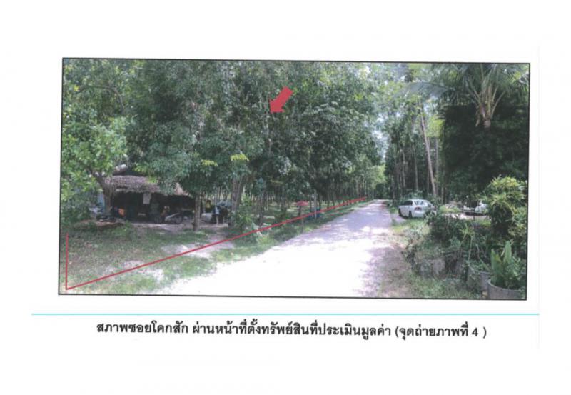 ที่ดินพร้อมสิ่งปลูกสร้างหลุดจำนอง ธ.ธนาคารออมสิน สงขลา เทพา วังใหญ่