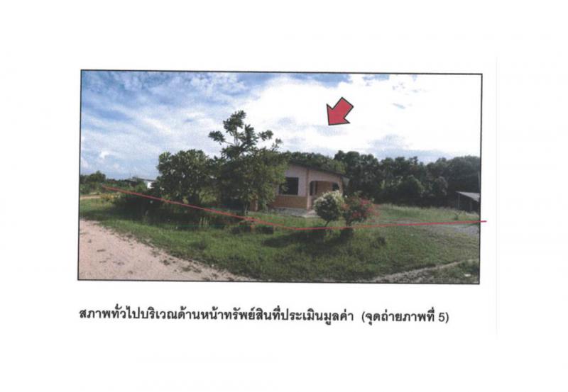 ที่ดินพร้อมสิ่งปลูกสร้างหลุดจำนอง ธ.ธนาคารออมสิน สงขลา สิงหนคร ม่วงงาม