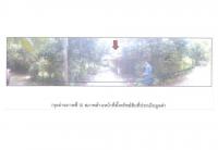 ที่ดินพร้อมสิ่งปลูกสร้างหลุดจำนอง ธ.ธนาคารออมสิน สงขลา จะนะ ป่าชิง