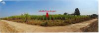 ที่ดินหลุดจำนอง ธ.ธนาคารออมสิน สุโขทัย ศรีนคร นครเดิฐ