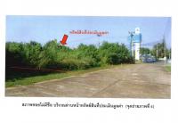 ที่ดินหลุดจำนอง ธ.ธนาคารออมสิน อุตรดิตถ์ เมืองอุตรดิตถ์ งิ้วงาม