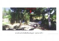 ที่ดินพร้อมสิ่งปลูกสร้างหลุดจำนอง ธ.ธนาคารออมสิน อุตรดิตถ์ น้ำปาด บ้านฝาย