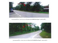 ที่ดินหลุดจำนอง ธ.ธนาคารออมสิน อุตรดิตถ์ น้ำปาด บ้านฝาย
