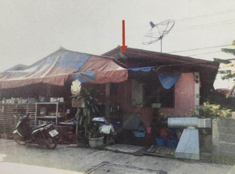 บ้านเดี่ยวหลุดจำนอง ธ.ธนาคารอาคารสงเคราะห์ พิจิตร เมืองพิจิตร ในเมือง