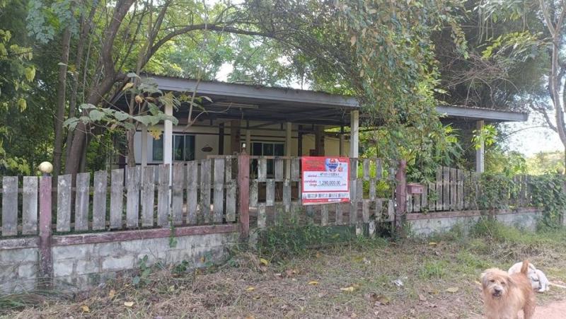 บ้านเดี่ยวหลุดจำนอง ธ.ธนาคารอาคารสงเคราะห์ สกลนคร เมืองสกลนคร พังขว้าง