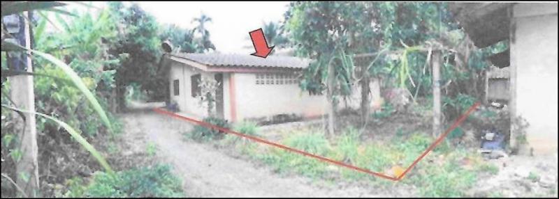 บ้านเดี่ยวหลุดจำนอง ธ.ธนาคารอาคารสงเคราะห์ สุราษฎร์ธานี กาญจนดิษฐ์ ช้างขวา