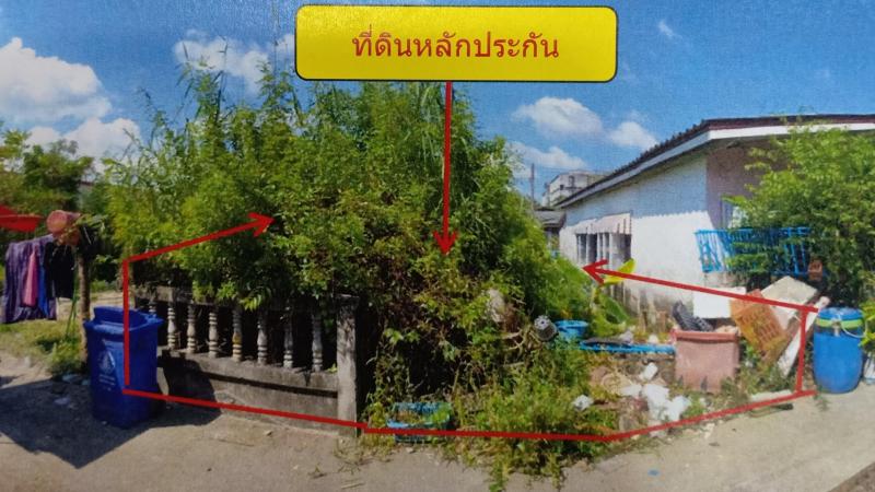 ที่ดินหลุดจำนอง ธ.ธนาคารอาคารสงเคราะห์ นครศรีธรรมราช ปากพนัง ปากพนังฝั่งตะวันตก