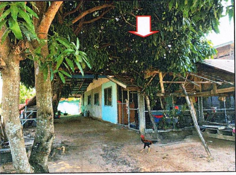 บ้านเดี่ยวหลุดจำนอง ธ.ธนาคารอาคารสงเคราะห์ อุดรธานี เมืองอุดรธานี เชียงยืน