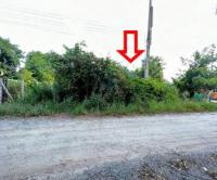 บ้านเดี่ยวหลุดจำนอง ธ.ธนาคารอาคารสงเคราะห์ ชลบุรี พานทอง หนองหงษ์