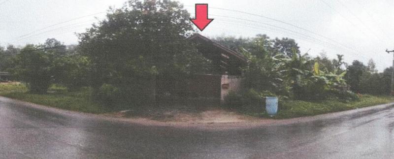 บ้านเดี่ยวหลุดจำนอง ธ.ธนาคารอาคารสงเคราะห์ นครศรีธรรมราช ช้างกลาง สวนขัน
