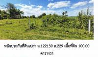 ที่ดินหลุดจำนอง ธ.ธนาคารอาคารสงเคราะห์ ชัยภูมิ เมืองชัยภูมิ ในเมือง