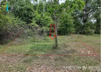 ที่ดินหลุดจำนอง ธ.ธนาคารอาคารสงเคราะห์ นครราชสีมา โชคชัย ทุ่งอรุณ