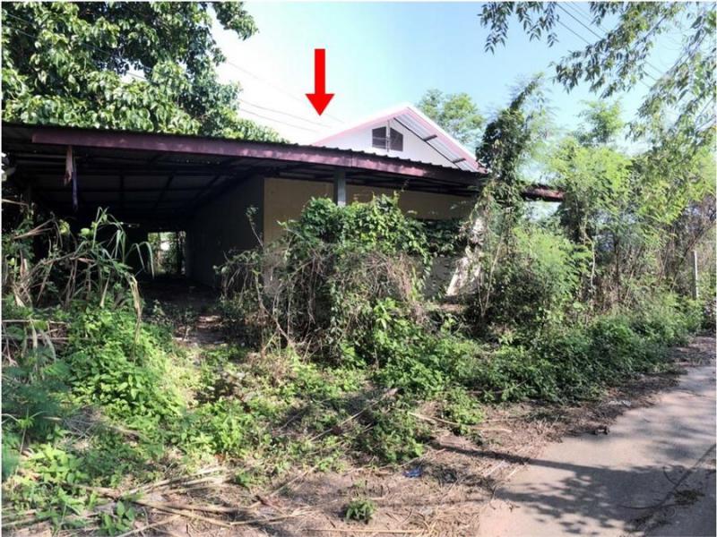 บ้านเดี่ยวหลุดจำนอง ธ.ธนาคารอาคารสงเคราะห์ อุดรธานี หนองวัวซอ หมากหญ้า