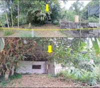 บ้านเดี่ยวหลุดจำนอง ธ.ธนาคารอาคารสงเคราะห์ พังงา ตะกั่วป่า บางม่วง
