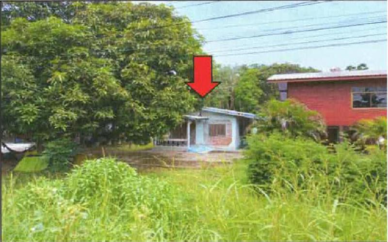 บ้านเดี่ยวหลุดจำนอง ธ.ธนาคารอาคารสงเคราะห์ นครสวรรค์ เมืองนครสวรรค์ หนองกระโดน