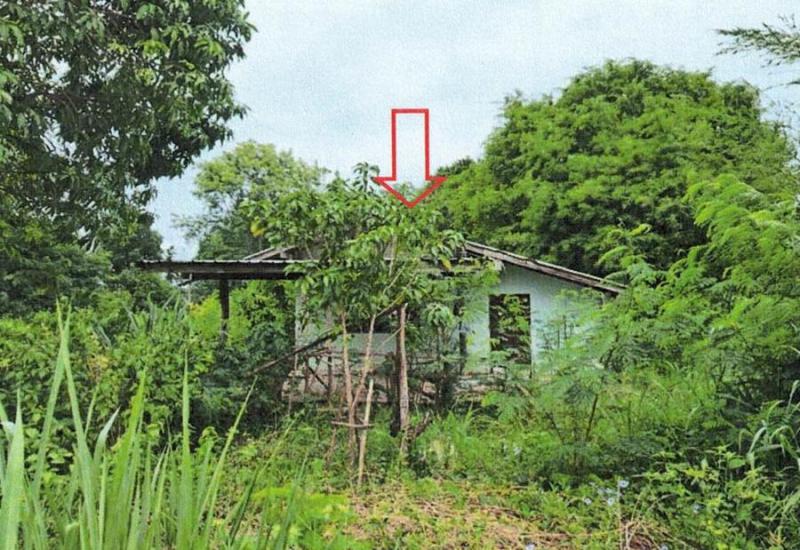 บ้านเดี่ยวหลุดจำนอง ธ.ธนาคารอาคารสงเคราะห์ ราชบุรี จอมบึง รางบัว