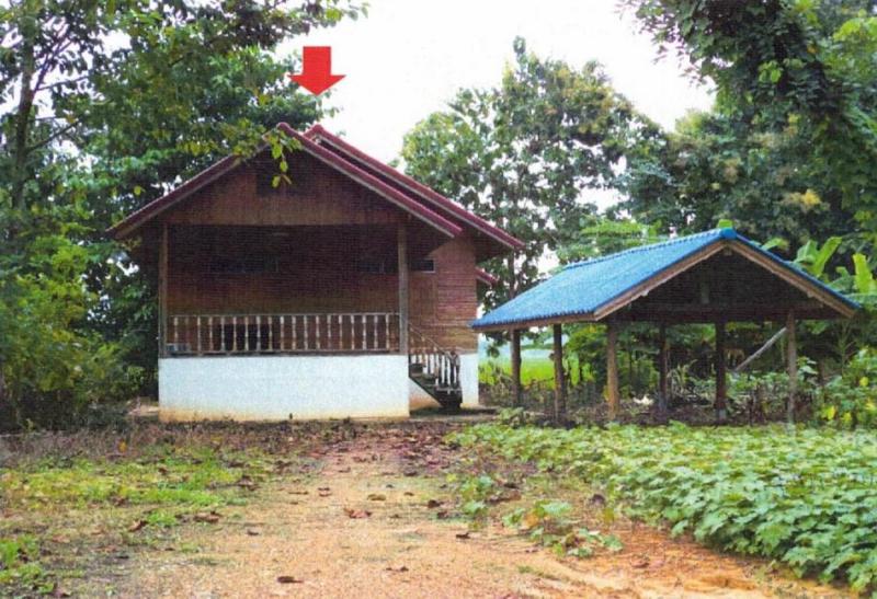 บ้านเดี่ยวหลุดจำนอง ธ.ธนาคารอาคารสงเคราะห์ เพชรบูรณ์ หล่มสัก บ้านติ้ว