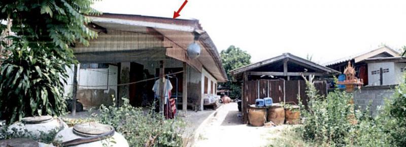 บ้านเดี่ยวหลุดจำนอง ธ.ธนาคารอาคารสงเคราะห์ เพชรบุรี ชะอำ บางเก่า