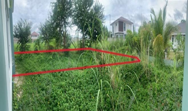 ที่ดินว่างเปล่าหลุดจำนอง ธ.ธนาคารกสิกรไทย พิษณุโลก เมืองพิษณุโลก ในเมือง