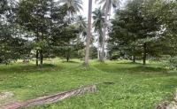 ที่ดินว่างเปล่าหลุดจำนอง ธ.ธนาคารกสิกรไทย นครศรีธรรมราช สิชล ทุ่งปรัง