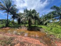 ที่ดินว่างเปล่าหลุดจำนอง ธ.ธนาคารกสิกรไทย กระบี่ เขาพนม เขาดิน
