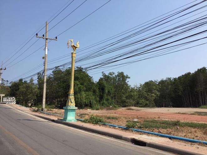 ที่ดินว่างเปล่าหลุดจำนอง ธ.ธนาคารกสิกรไทย สมุทรสงคราม เมืองสมุทรสงคราม บางจะเกร็ง