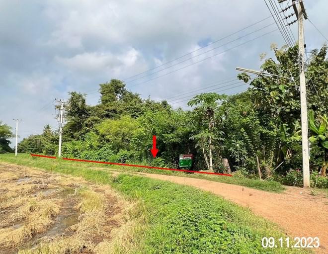 ที่ดินว่างเปล่าหลุดจำนอง ธ.ธนาคารกสิกรไทย อุตรดิตถ์ พิชัย ไร่อ้อย